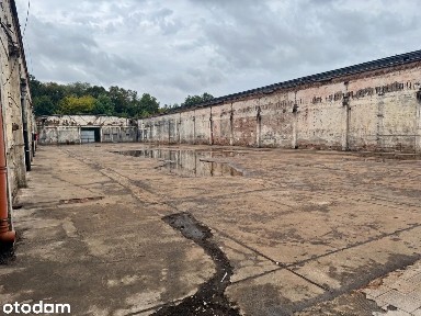 Ogrodzony plac magazynowy 1000 m² | Krzesławice