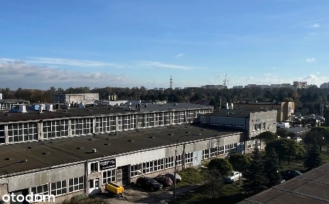 ul. Marii Skłodowskiej-Curie, Rubinkowo, Toruń, kujawsko-pomorskie