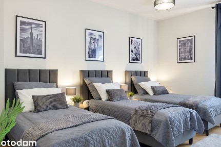 ***Wyzwolenia 61 - M3, 75 m², ścisłe centrum, świeżo po remoncie***