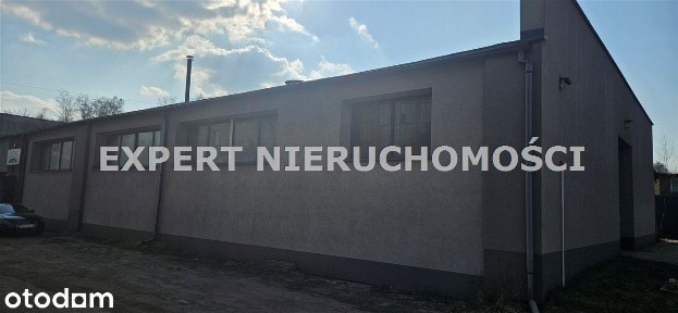Hala na sprzedaż, Knurów