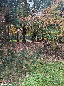 Przestronne mieszkanie 71 m² ul. Ceglarska 27- cisza i zieleń.