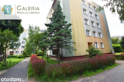 Super oferta - 3 pokoje - świetna lokalizacja!