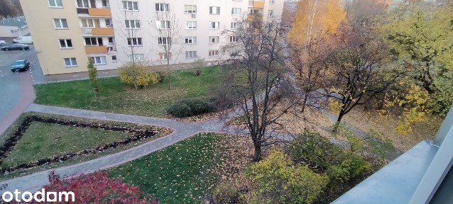 Muranów | Jasna kawalerka 27 m² | Cisza, winda, zieleń | komunikacja