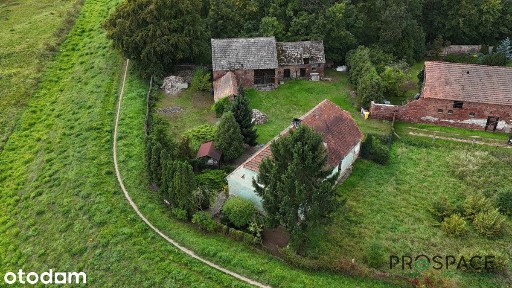 Dom z 3 budynkami gospodarczymi, 1184 m², Nowa Sól