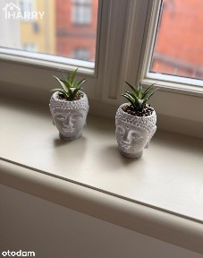 Apartament w samym centrum miasta