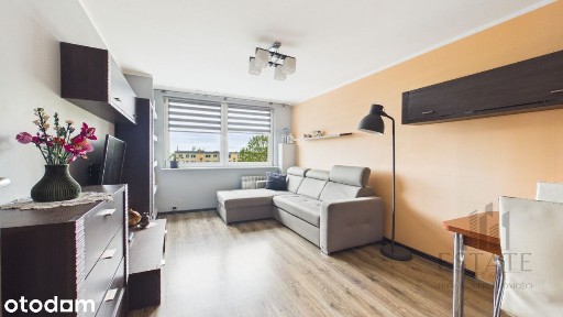 Kościan, 55,7 m², 2 pokoje, balkon, piwnica