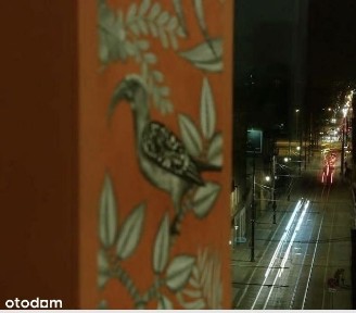 Kawalerka z antresolą