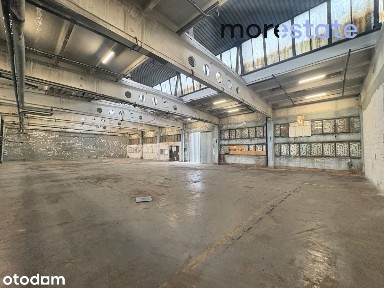 Hala 650 m2 / Rybitwy / możliwość podziału hali