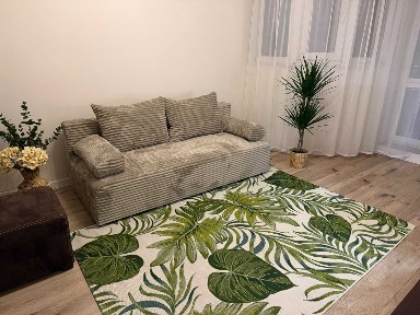 mieszkanie 2 pokojowe do wynajęcia
