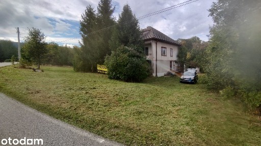 Dom na dużej działce ze starodrzewem
