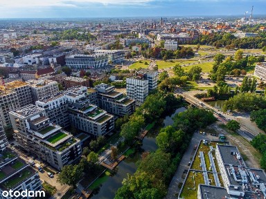 Walońska, Przedmieście Oławskie, Krzyki, Wrocław, dolnośląskie