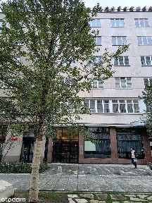 BIURO, ZŁOTA 7, ZIELEŃ, NAJLEPPSZA LOKALIZACJA, KAMIENICA