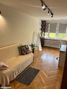 ul. Ignacego Daszyńskiego, Ołbin, Śródmieście, Wrocław, dolnośląskie