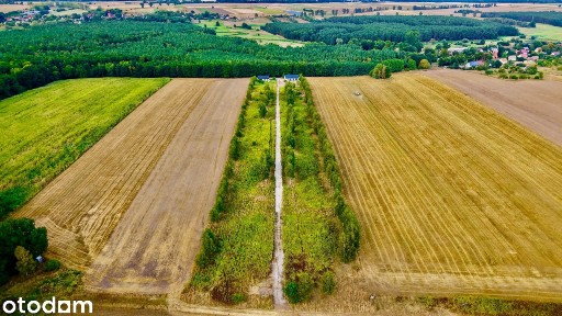Nowoczesny dom | 150 m² | Działka 1800 m² | Smogolice