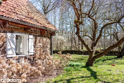Czarnybród, Grodziec, koniński, wielkopolskie
