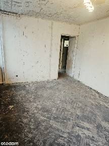 2-pokojowe mieszkanie z balkonem i piwnicą - świetna lokalizacja!