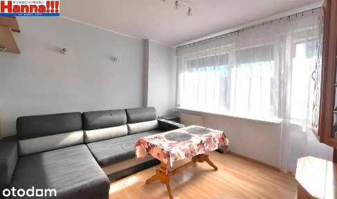 Duży balkon. Top lokalizacja. Słoneczne. Wolne.