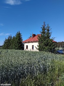 Przytulny dom 60m na dużej działce 2050 m blisko Spały i lasu