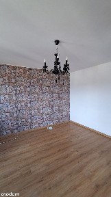 Kawalerka z pięknym widokiem na Przylesiu