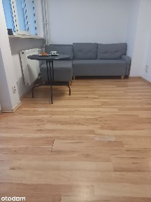 BEZPOŚREDNIO | Widok na Kępę Potocką | Duży Balkon | Promyka 5 | KW