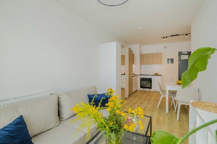 Nowe Komfortowe, 2 pokojowe, Bez prowizji, Bezpośrednio od właściciela, Pet Friendly