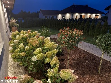 Komfortowy dom wolnostojący 129,92 mkw | Poniatowice