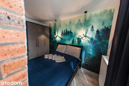 33.5 m2 Katowice, ul. Słoneczna 84, wyposażone, osobna kuchnia, balkon