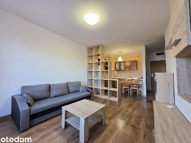 Komfortowy apartament - blisko centrum AKCEPTUJEMY ZWIERZĘTA