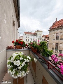 Klimatyczne 62 m² z balkonem po remoncie - Centrum