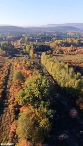 Nowe M otoczone lasem Bez wkładu Własnego.