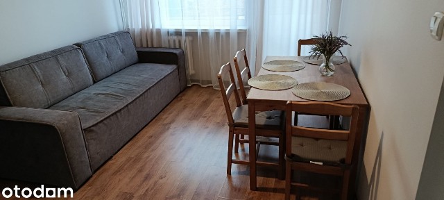 Do wynajęcia 2-pokojowe, 37,5m2, Łódź ul. Matejki 8.