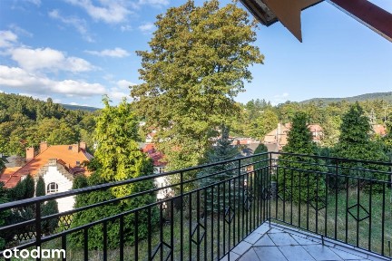 Villa w centrum miasta