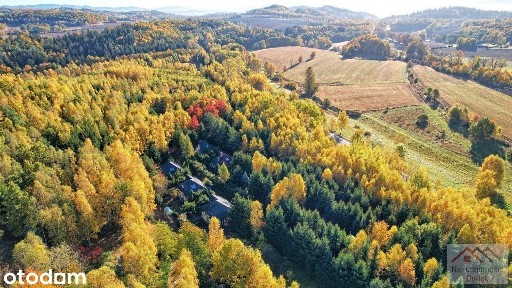 Wyjątkowa nieruchomość - 7600 m2 + 5 domków