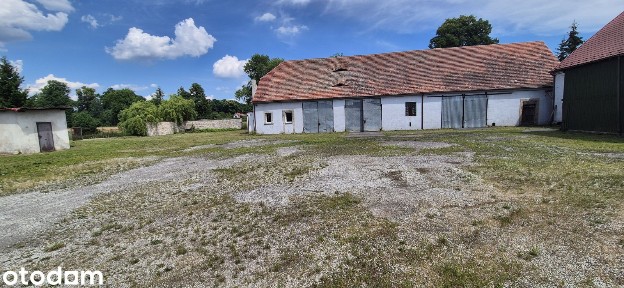 Hale i magazyny do wynajęcia - biuro, utwardzony plac, dostęp 24/7