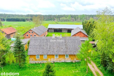Przedwojenne siedlisko 4,9 ha - Wilkasy