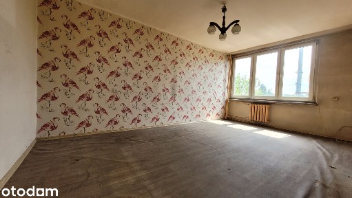 Ustawne Mieszkanie w Bloku z Potencjałem| Siemianowice Śląskie Centrum