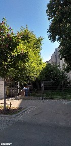 Kamienica na sprzedaż - ul. Więckowskiego, Łódź