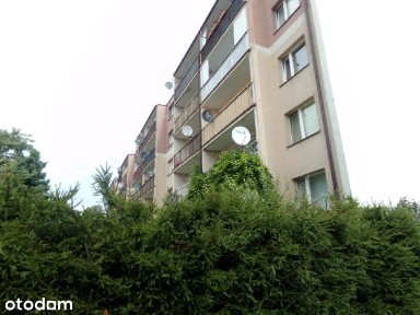 Udział 1/6 w lokalu mieszklanym o pow. 63,8 m2
