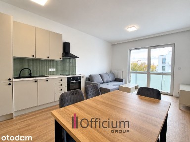 Do wynajęcia nowe 2-pok. mieszkanie 45m2, Zamienie