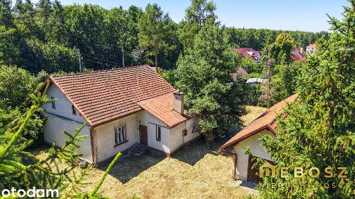 ul. Partyzantów | Magazyn + Duży Garaż z Działką - 150 m2 / 2.600 zł !