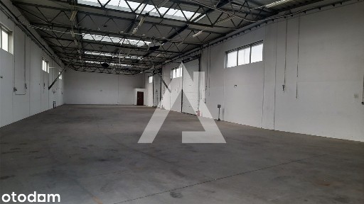 Hala na wynajem - Siernieczek, 570 m²