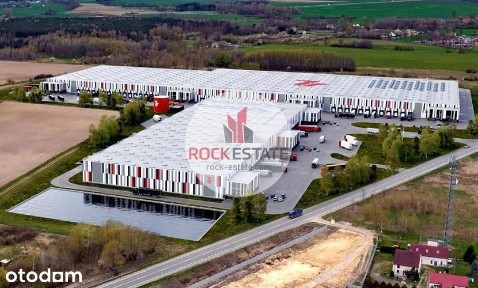 Magazyn 3500 m2 Sulechów - 0% prowizji