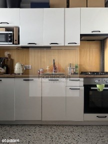 Panorama MiastaOgród Saskimetro