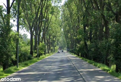 OKAZJA! | działka 2500m2 blisko Placu Vogla | pełne uzbrojenie