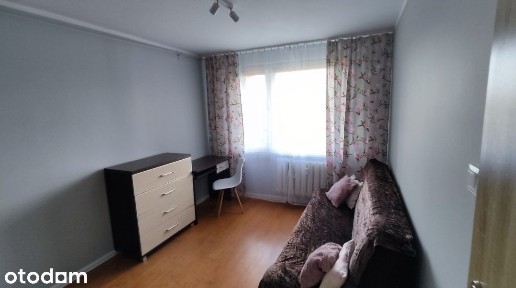Mieszkanie 3 pokoje kamieńskiego szpital Mieszkanie pod wynajem