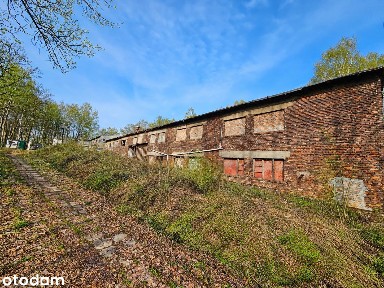 Do wynajmu duży budynek 1 300 m2 na rozległym terenie 7 500 m2!