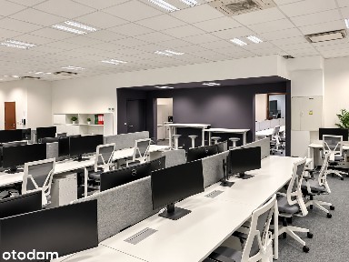 Przestronne biuro w centrum Wrocławia, 232,09 m2.