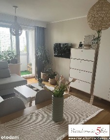 2 pokoje, po remoncie, loggia, os. Lecha