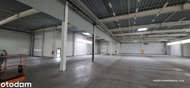 BEZPOŚREDNIO od 2450m do 100m - wynajmę hala magazynowo produkcyjna