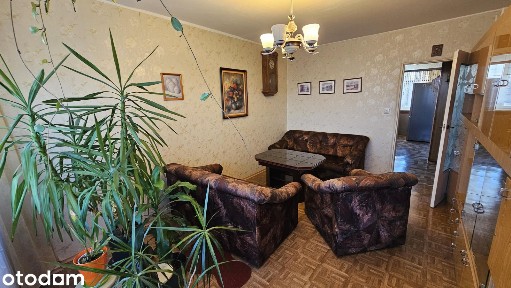 Zielone osiedle, osobne pokoje, widna kuchnia, balkon
